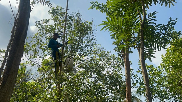 Kehidupan Petani di Kalurahan Kalirejo